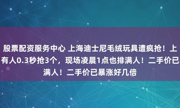 股票配资服务中心 上海迪士尼毛绒玩具遭疯抢！上线即秒光，有人0.3秒抢3个，现场凌晨1点也排满人！二手价已暴涨好几倍